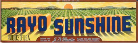 Rayo Sunshine